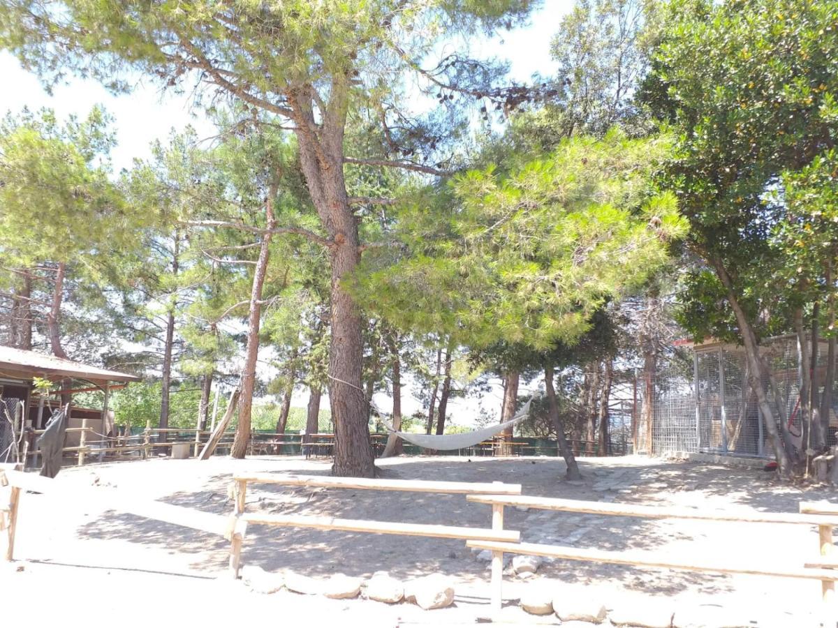 Fattoria Country Village 몬테카로토 외부 사진